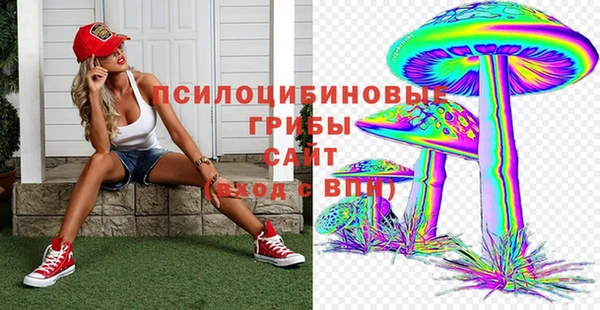 PSILOCYBIN Алексин